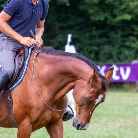 12._Grand_Prix_140