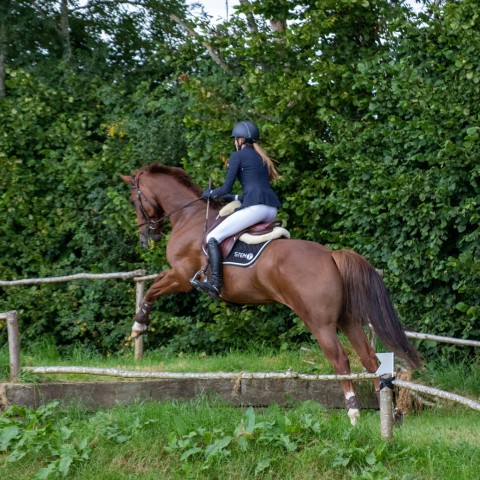 img_Épreuve_12-Derby_110-Barème_A_CHRONO